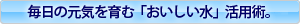 �����̌��C����ށu�����������v���p�p�B